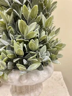 Regency International Flocked Artificial Sage Cone Tabletop Topiary 24" 12 Regency International Flocked Artificial Sage Cone Tabletop Topiary 24" -Artificial Trees Store 5134o9eHPvL
