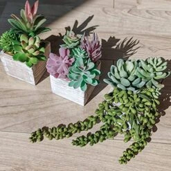 Set Of 3 Assorted Small Potted Succulents Plants Decoration Assorted Green Fake Succulents Plants In Rustic Wooden Pots For Home Living Room Bathroom Table Shelf Windowsill Office Desk Indoor Decor -Artificial Trees Store 513ZRDnL6yL