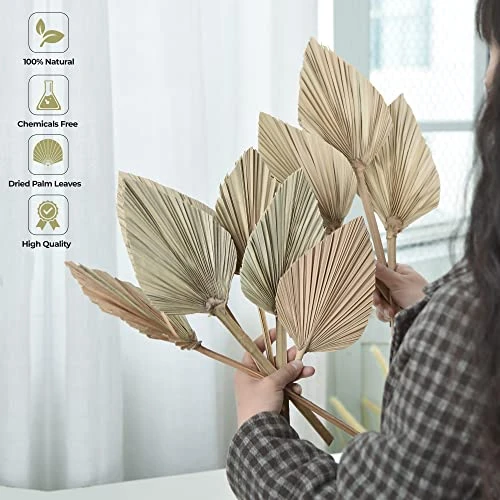 PYSAZI 12 Pcs Natural Dried Palm Leaves Boho Dried Palm Spears Leaves Bulk Small Dried Real Palm Fans Dry Palm Leaves With Stems Dried Leaf Boho Home Décor For Vase Wedding Office Home 43.5*12cm 6 PYSAZI 12 Pcs Natural Dried Palm Leaves Boho Dried Palm Spears Leaves Bulk Small Dried Real Palm Fans Dry Palm Leaves With Stems Dried Leaf Boho Home Décor For Vase Wedding Office Home 43.5*12cm - Image 4