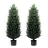 Artificial Topiary Tree 2-Set - Beautiful Realistic Faux Cedar Pines, 4 Feet Tall, UV Protection For Longer Life, Durable 6" Wide Heavy Duty Pots For Outdoor & Indoor Decor -Artificial Trees Store 513cZshyQ7L