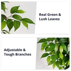 Cozy Castle Artificial Ficus Tree 71in - Faux Indoor Tree For Home Decor, Evergreen 6-Feet Tall Fake Tree Plant, Fake Floor Plant With Sturdy Plastic Nursery Pot For Living Room, Farmhouse, Office 11 Cozy Castle Artificial Ficus Tree 71in - Faux Indoor Tree For Home Decor, Evergreen 6-Feet Tall Fake Tree Plant, Fake Floor Plant With Sturdy Plastic Nursery Pot For Living Room, Farmhouse, Office -Artificial Trees Store 5141pu0h1kL