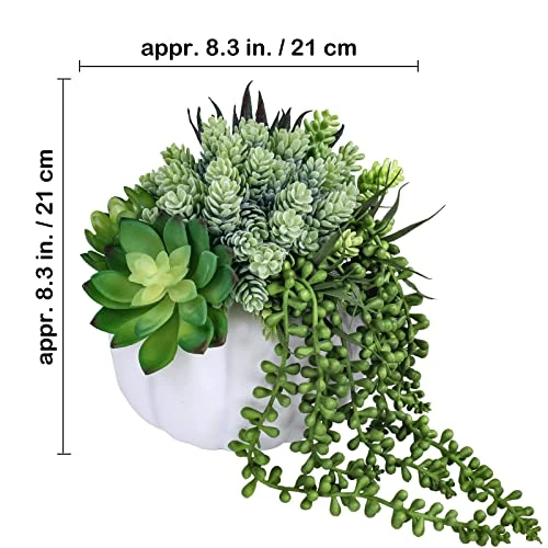 White Fall Pumpkin Centerpiece Artificial Succulent Pumpkin Arrangement With Assorted String Of Pearls Succulents For Fall Thanksgiving Gifts Home Wedding Table Mantel Windowsill Shelf Decor 4 White Fall Pumpkin Centerpiece Artificial Succulent Pumpkin Arrangement With Assorted String Of Pearls Succulents For Fall Thanksgiving Gifts Home Wedding Table Mantel Windowsill Shelf Decor - Image 2