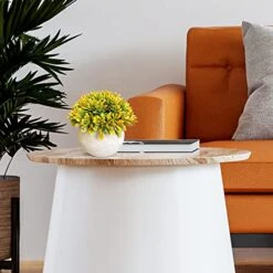 GENERIC 3 Bundle Pack Small Potted Artificial Fake Plastic Plants, Faux Desk Shrub Plants For Indoor Home Office Kitchen Bathroom Farmhouse CoffeeTable Room Decor 13 GENERIC 3 Bundle Pack Small Potted Artificial Fake Plastic Plants, Faux Desk Shrub Plants For Indoor Home Office Kitchen Bathroom Farmhouse CoffeeTable Room Decor -Artificial Trees Store 514d9Ay96DL