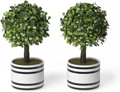 Barnyard Designs Set Of 2 (12.5") Artificial Boxwood Topiary Potted Plant Decorations, Mini Faux Fake Plant Greenery Arrangements In Pots For Office Desk Or Home Decor, 5.5" X 12.5" 17 Barnyard Designs Set Of 2 (12.5") Artificial Boxwood Topiary Potted Plant Decorations, Mini Faux Fake Plant Greenery Arrangements In Pots For Office Desk Or Home Decor, 5.5" X 12.5" -Artificial Trees Store 514nHuZuPZL. AC