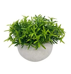 Artificial Mini Potted Plant Decor (Set Of 3) | Green Leaves Set | Fake Plants | Office Decor, Bathroom Decor, Farmhouse Decor, Kitchen Decor | Faux Topiary Decore | Home Decor Clearance -Artificial Trees Store 5151dmHXDfL