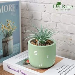 Der Rose 2 Packs Fake Plants Succulents Plants Artificial For Living Room Bedroom Aesthetic Decor -Artificial Trees Store 5152cki3ReL