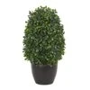 Nearly Natural 13” Boxwood Topiary Artificial UV Resistant (Indoor/Outdoor) Silk Plants Green 1 Nearly Natural 13” Boxwood Topiary Artificial UV Resistant (Indoor/Outdoor) Silk Plants Green -Artificial Trees Store 515MCIkX9mL