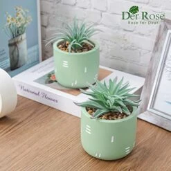Der Rose 2 Packs Fake Plants Succulents Plants Artificial For Living Room Bedroom Aesthetic Decor -Artificial Trees Store 515N2szYw8L