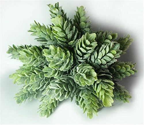 Dect Artificial Plants 6" Capensia Bush (2pcs) 5 Dect Artificial Plants 6" Capensia Bush (2pcs) - Image 3