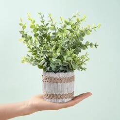 HC STAR Mini Fake Plants Artificial Potted Green Plastic Plants,Small Houseplants For Home Decor Office Desk 12 HC STAR Mini Fake Plants Artificial Potted Green Plastic Plants,Small Houseplants For Home Decor Office Desk -Artificial Trees Store 515TY6CpIfL