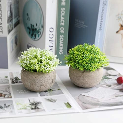THE BLOOM TIMES 2 Pcs Fake Plant For Bathroom/Home Office Decor, Small Artificial Faux Greenery For House Decorations (Potted Plants) 4 THE BLOOM TIMES 2 Pcs Fake Plant For Bathroom/Home Office Decor, Small Artificial Faux Greenery For House Decorations (Potted Plants) - Image 2