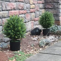 ECOLVANT Two 20''T Artificial Cedar Topiary Ball Tree UV Resistant Potted Plants Artificial Shrubs Bushes Potted Tree For Indoor Outdoor Home Garden 11 ECOLVANT Two 20''T Artificial Cedar Topiary Ball Tree UV Resistant Potted Plants Artificial Shrubs Bushes Potted Tree For Indoor Outdoor Home Garden -Artificial Trees Store 515m9xCXFoL