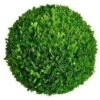 Mills Floral Company Boxwood Ball 8" -Artificial Trees Store 516bRsA983L