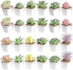 Tiita Artificial Faux Succulents In Pots Fake Plants Ceramic Arrangement Planter Small Mini Tiny Decoration For Home Office Desk Window Sill Bathroom Bedroom Outdoor Indoor 4 Set -Artificial Trees Store 5173wBM6vOL. AC
