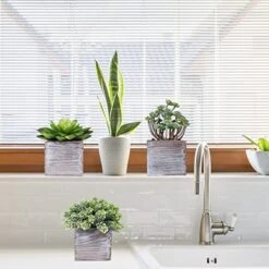 Set Of 3 Assorted Small Potted Succulents Plants Decorations Green Fake Succulents Cacti In Rustic Wooden Pots For Home Living Room Bathroom Table Centerpiece Windowsill Shelf Office Desk Indoor Decor -Artificial Trees Store 5175hf1faLL