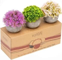 Kitzini Topiary Balls. 3 Fake Plants: Clipped Succulent, White & Purple Blossom. Realistic Artificial Plants For Home Decor Indoor. Gift Boxed. Premium Pot Set. 13 Kitzini Topiary Balls. 3 Fake Plants: Clipped Succulent, White & Purple Blossom. Realistic Artificial Plants For Home Decor Indoor. Gift Boxed. Premium Pot Set. -Artificial Trees Store 517e47nXJjS. AC