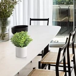 HomEdge Artificial Mini Potted Boxwood, Artificial Plastic Plant Greenery With Pot For Home, Office Desk Decoration -Artificial Trees Store 517gU2tV8WL