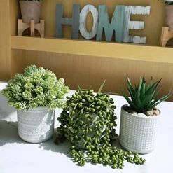 Set Of 3 Assorted Small Potted Succulent Plants Fake Aloe String Of Pearls Hops Succulents In Gray Geometric Concrete Ceramic Pots For Gifts Modern Home Office Desk Table Indoor Outdoor Greenery Decor 12 Set Of 3 Assorted Small Potted Succulent Plants Fake Aloe String Of Pearls Hops Succulents In Gray Geometric Concrete Ceramic Pots For Gifts Modern Home Office Desk Table Indoor Outdoor Greenery Decor -Artificial Trees Store 517jSEfQSdL