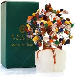 Handcrafted Healing Crystal Trees (Set Of 12), Bonsai Tree For Positive Energy & Chakra Balance, Feng Shui Tree Of Life, Perfect Home/Desk Decor, Reiki Good Luck Crystal Gifts By KarmaPledge -Artificial Trees Store 517vyWd6HkL. AC