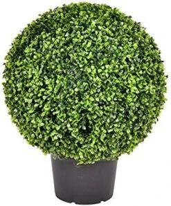 Vickerman Everyday 24 Inch Artificial Boxwood Topiary Ball - UV Resistant Indoor Outdoor - Potted Natural Green - Home Patio Tabletop Faux Bush Decoration 10 Vickerman Everyday 24 Inch Artificial Boxwood Topiary Ball - UV Resistant Indoor Outdoor - Potted Natural Green - Home Patio Tabletop Faux Bush Decoration -Artificial Trees Store 517zyo6ekyL. AC