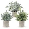 ROMAY 3 Pack Mini Potted Artificial Plants Fake Eucalyptus Greenery In Pots For Home Office Desk Decor -Artificial Trees Store 518Oy7babOL