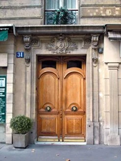 24''T 18''D Artificial Trees For Outdoors Set Of 2 Potted Bushes Home Decor Artificial Topiariy Trees For Front Porch