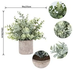 A Bundle Of Pack Mini Potted Fake Plants And 2 Packs Mini Fake Plants Small Artificial Plants For Bathroom Farmhouse Office Home Decor Indoor