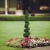 5ft Spiral Boxwood Topiary Tree In Stylish Black Planter Pot - Beautiful Indoor/Outdoor Decor - Realistic Foliage - Low Maintenance 1 5ft Spiral Boxwood Topiary Tree In Stylish Black Planter Pot - Beautiful Indoor/Outdoor Decor - Realistic Foliage - Low Maintenance -Artificial Trees Store 518yx6B2OXL