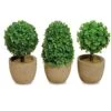 WHW Whole House Worlds Realistic Faux Boxwood Sculptural Topiary, Set Of 3, Curly Leaf, Cone And Ball Tops, Gray Stone Pot, Each 5.5 Inches Tall, Mixed Materials -Artificial Trees Store 518yy6wTgAL