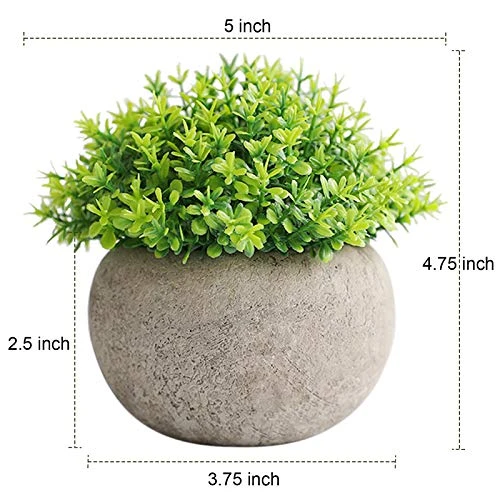 THE BLOOM TIMES 2 Pcs Fake Plant For Bathroom/Home Office Decor, Small Artificial Faux Greenery For House Decorations (Potted Plants) 6 THE BLOOM TIMES 2 Pcs Fake Plant For Bathroom/Home Office Decor, Small Artificial Faux Greenery For House Decorations (Potted Plants) - Image 4