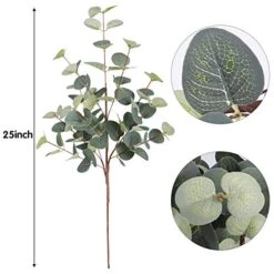 FUNARTY 6 Pcs Artificial Eucalyptus Leaves Stems 25in Tall With 80 Leaves Fake Silver Dollar Eucalyptus Plant Greenery Stems Branches For Farmhouse Vase Bouquets Wedding Home Decor -Artificial Trees Store 519KW4Dgy3L
