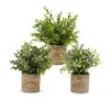 PENGYEE Artificial Plant, 3Pcs Mini Plants Artificial Potted Set Fake Green Grass Faux Plastic Green Rosemary Topiary Shrubs For Home Office Desk, Kitchen Counter Decoration