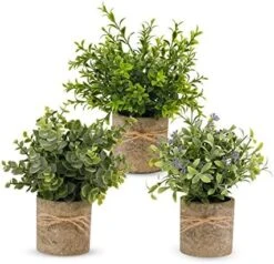 PENGYEE Artificial Plant, 3Pcs Mini Plants Artificial Potted Set Fake Green Grass Faux Plastic Green Rosemary Topiary Shrubs For Home Office Desk, Kitchen Counter Decoration -Artificial Trees Store 519KYn81IjL. AC