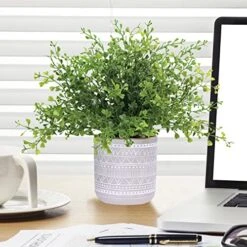 Set Of 3 Assorted Small Potted Plants Fake Eucalyptus Boxwood Plants And Aloe Succulent Plant In Gray Geometric Concrete Ceramic Pots For Gifts Home Kitchen Table Desk Indoor Outdoor Greenery Decor 11 Set Of 3 Assorted Small Potted Plants Fake Eucalyptus Boxwood Plants And Aloe Succulent Plant In Gray Geometric Concrete Ceramic Pots For Gifts Home Kitchen Table Desk Indoor Outdoor Greenery Decor -Artificial Trees Store 519c7yzRi6L