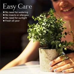 Kitzini Topiary Balls. 3 Fake Plants: Clipped Succulent, White & Purple Blossom. Realistic Artificial Plants For Home Decor Indoor. Gift Boxed. Premium Pot Set. 10 Kitzini Topiary Balls. 3 Fake Plants: Clipped Succulent, White & Purple Blossom. Realistic Artificial Plants For Home Decor Indoor. Gift Boxed. Premium Pot Set. -Artificial Trees Store 519q9r6czqS