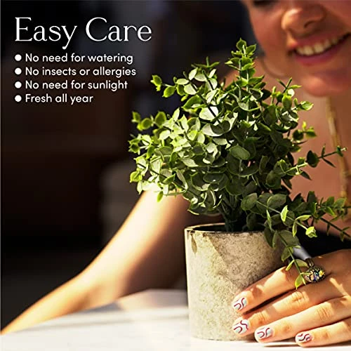 Kitzini Topiary Balls. 3 Fake Plants: Clipped Succulent, White & Purple Blossom. Realistic Artificial Plants For Home Decor Indoor. Gift Boxed. Premium Pot Set. 5 Kitzini Topiary Balls. 3 Fake Plants: Clipped Succulent, White & Purple Blossom. Realistic Artificial Plants For Home Decor Indoor. Gift Boxed. Premium Pot Set. - Image 3