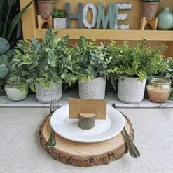 Set Of 3 Assorted Small Potted Plants Fake Eucalyptus And Rosemary Plants In Gray Geometric Concrete Ceramic Pots For Gifts Home Kitchen Office Shelf Table Desk Modern Indoor Outdoor Greenery Decor 10 Set Of 3 Assorted Small Potted Plants Fake Eucalyptus And Rosemary Plants In Gray Geometric Concrete Ceramic Pots For Gifts Home Kitchen Office Shelf Table Desk Modern Indoor Outdoor Greenery Decor -Artificial Trees Store 519wUhVyoUL