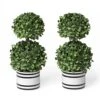 Barnyard Designs Set Of 2 (12.5") Artificial Boxwood Topiary Potted Plant Decorations, Mini Faux Fake Plant Greenery Arrangements In Pots For Office Desk Or Home Decor, 5.5" X 12.5" -Artificial Trees Store 519wjrBvOYL