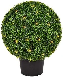 Vickerman Everyday 20 Inch Artificial Pre-Lit Boxwood Topiary Ball - UV Resistant Indoor Outdoor - Potted Natural Green - Home Patio Tabletop Faux Bush Decoration 7 Vickerman Everyday 20 Inch Artificial Pre-Lit Boxwood Topiary Ball - UV Resistant Indoor Outdoor - Potted Natural Green - Home Patio Tabletop Faux Bush Decoration -Artificial Trees Store 51AETuAmxvL. AC