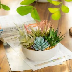 10 In 1- Fake Plants In Pot -Artificial Succulents Plant For Desk Decor -Small Faux Plants Indoor Modern Farmhouse Plants Artificial Decor -Potted Small Plants Decor For Bedroom Bathroom Office Shelf -Artificial Trees Store 51AGnoE1oLL