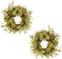 Factory Direct Craft Weatherproof Artificial Burgundy Eucalyptus Bushes - (2 Pieces) For Home Decor And Arrangements (16" H) -Artificial Trees Store 51AK5UHbaeL. AC