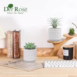Der Rose 2 Packs Fake Plants Artificial Succulents Plants In Pots For Home Boho Decor Indoor 11 Der Rose 2 Packs Fake Plants Artificial Succulents Plants In Pots For Home Boho Decor Indoor -Artificial Trees Store 51AUVSVg6qL