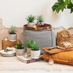 Kurrajong Farmhouse Faux Plant In Pot - 8" X 4.5" | Beautiful Faux Succulent Plant Decor | Artificial Succulent Plants | Faux Plants Indoors 11 Kurrajong Farmhouse Faux Plant In Pot - 8" X 4.5" | Beautiful Faux Succulent Plant Decor | Artificial Succulent Plants | Faux Plants Indoors -Artificial Trees Store 51B19Gz79aL