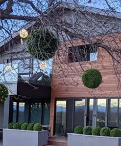 365 Curb Appeal Set Of 2 Large Topiary Balls (Better Than A Boxwood) -Artificial Trees Store 51B5raIieJL