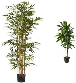 Nearly Natural 5253 Bamboo Silk Tree, 64-Inch, Green -Artificial Trees Store 51BDjIUucGL. AC