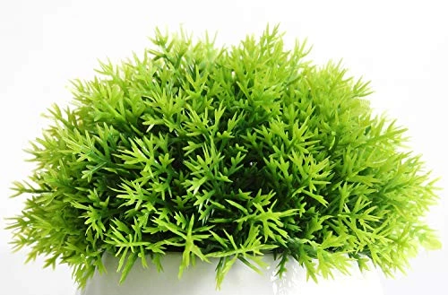 FEILANDUO 4 Pcs Mini Artificial Plants Potted Small Fake Plants For Shelf Green Plant In White Plastic Pot For Home Bathroom Decor Faux Plants (White, Set Of 4) 5 FEILANDUO 4 Pcs Mini Artificial Plants Potted Small Fake Plants For Shelf Green Plant In White Plastic Pot For Home Bathroom Decor Faux Plants (White, Set Of 4) - Image 3