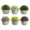 Tuokor 4.75" Mini Artificial Plastic Plants Green Grass Colorful Shrubs Faux Flowers With Gray Pots For Home Decor, Office Decor - Set Of 6 1 Tuokor 4.75" Mini Artificial Plastic Plants Green Grass Colorful Shrubs Faux Flowers With Gray Pots For Home Decor, Office Decor - Set Of 6 -Artificial Trees Store 51BcMKoOyIL