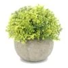 Velener Mini Plastic Artificial Pine Ball Topiary Plant With Pots For Home Decor (Green Clover) -Artificial Trees Store 51BcekesaOL