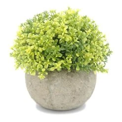 Velener Mini Plastic Artificial Pine Ball Topiary Plant With Pots For Home Decor (Green Clover)