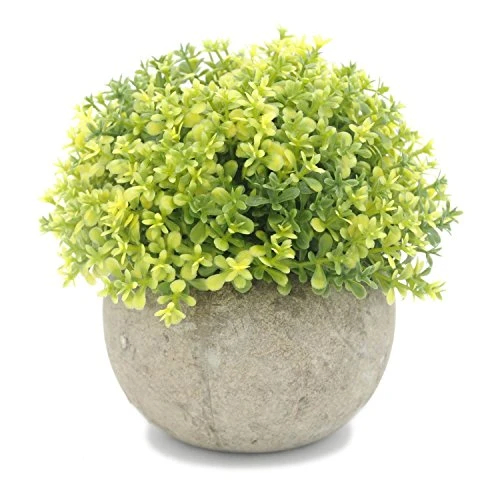 Velener Mini Plastic Artificial Pine Ball Topiary Plant With Pots For Home Decor (Green Clover) 3 Velener Mini Plastic Artificial Pine Ball Topiary Plant With Pots For Home Decor (Green Clover)